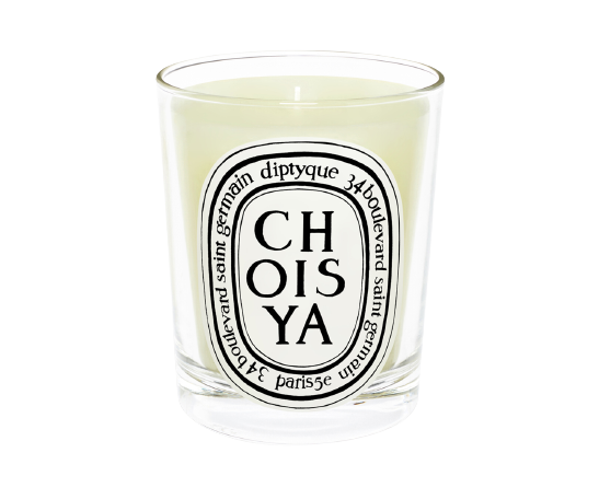 Candle Choisya