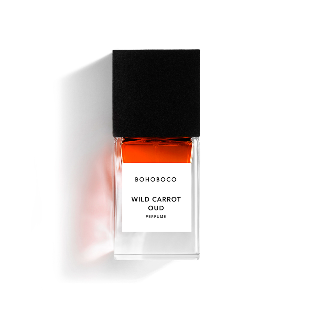 Carotte sauvage Oud 