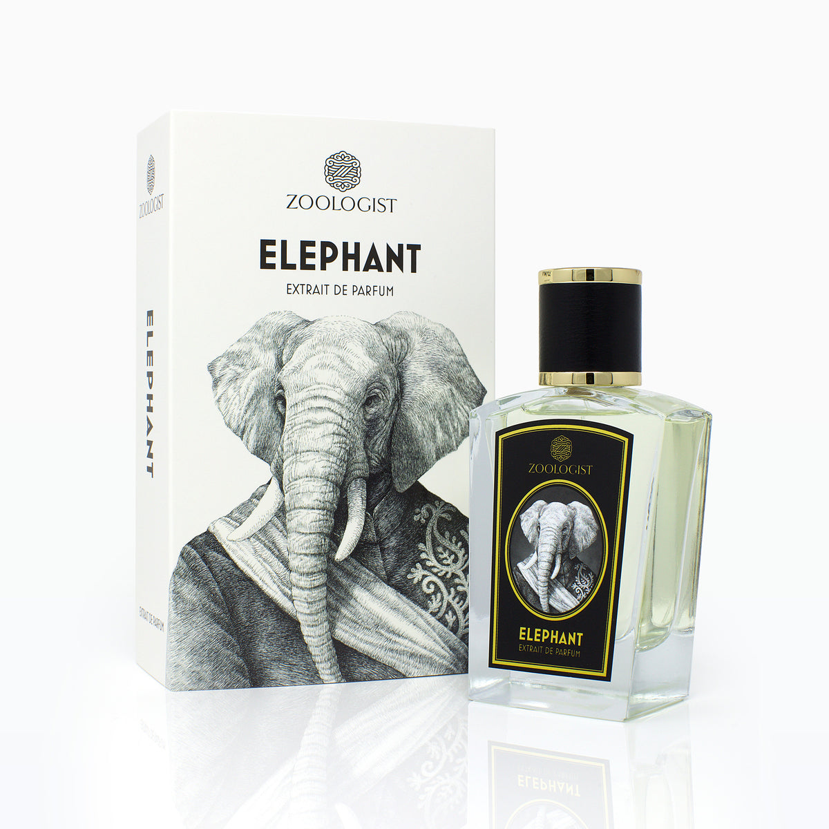 Éléphant